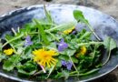 Wild salad with fresh ingredients from the yard