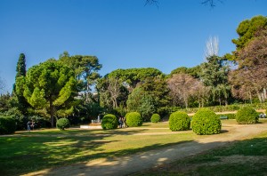 Palau Real (7)  
