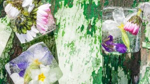 Ледени цветя 2