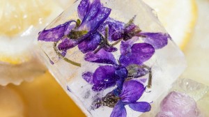 Ледени цветя 3