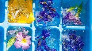 Ледени цветя 1