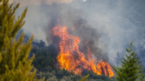 thassos fire (1)