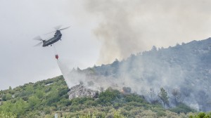 thassos fire (12)