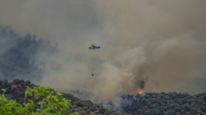 thassos fire (2)