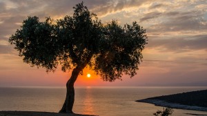 thassos sunsets (11)